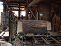 Erster Sägeschnitt
